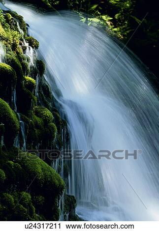 Stock Image - "Waterfall, Akita, Japan". Fotosearch