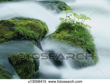 "Waterfall, Aomori, Japan" View Large Photo Image Stock Photography - "Waterfall, Aomori, Japan". Fotosearch