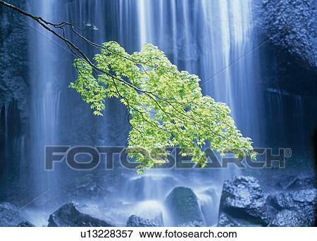 Stock Photo - "Waterfall, Fukushima, Japan". Fotosearch