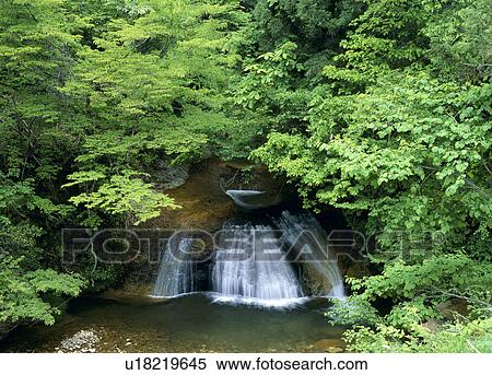 Stock Photography - "Waterfall, Gifu, Japan". Fotosearch