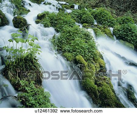 Stock Image - "Waterfall, Nagano, Japan". Fotosearch
