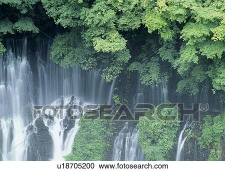 "Waterfall, Shizuoka, Japan" View Large Photo Image Stock Image - "Waterfall, Shizuoka, Japan". Fotosearch