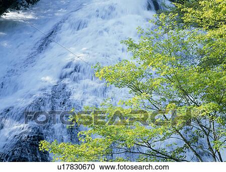 Stock Image - "Waterfall, Tochigi, Japan". Fotosearch
