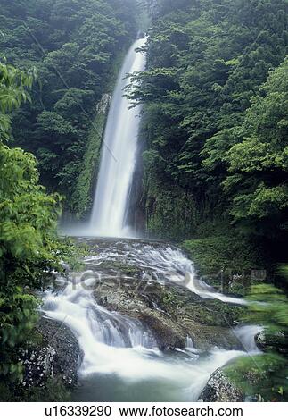 "Waterfall, Wakayama, Japan" View Large Photo Image Stock Image - "Waterfall, Wakayama, Japan". Fotosearch