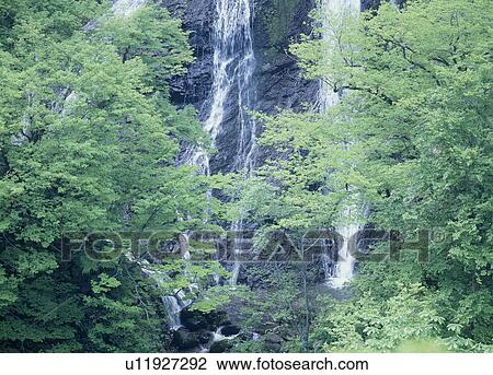 "Waterfall, Yamagata, Japan" View Large Photo Image Stock Image - "Waterfall, Yamagata, Japan". Fotosearch