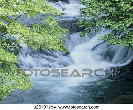 Picture - "Waterfall, Yamanashi, Japan". Fotosearch
