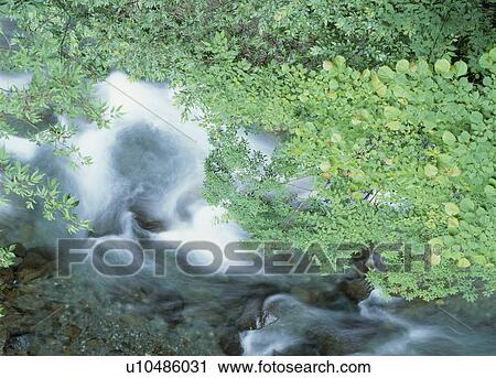 Stock Image - "Waterfall, Yamanashi, Japan". Fotosearch