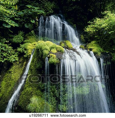 Stock Image - "Waterfall, Yamanashi, Japan". Fotosearch