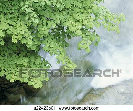 Stock Image - "Waterfall, Yamanashi, Japan". Fotosearch