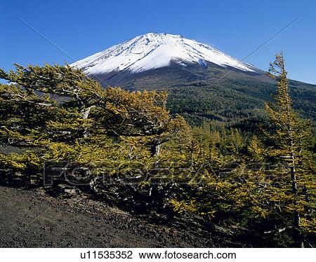 Stock Image - "Mt. Fuji And Autumn Leaves, Yamanashi, Japan". Fotosearch