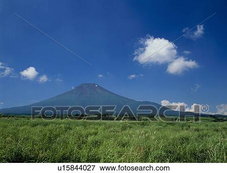 Stock Photo - "Mt. Fuji And Green Field, Yamanashi, Japan". Fotosearch
