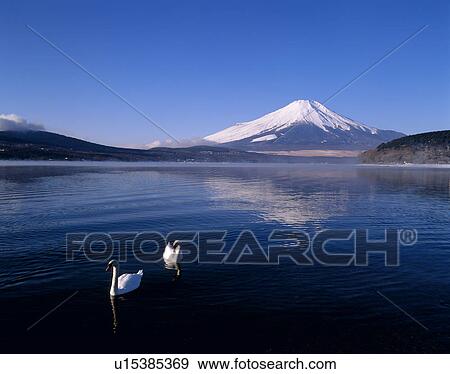 Stock Photo - "Mt. Fuji And Lake, Yamanashi, Japan". Fotosearch