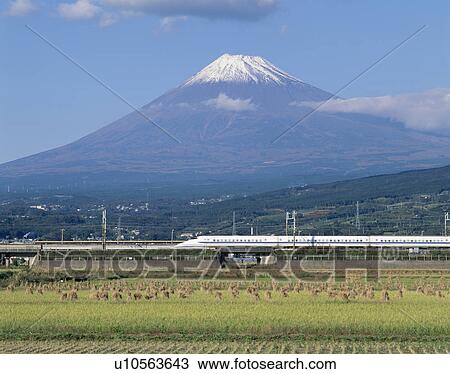 "Mt. Fuji And Shinkansen Bullet Train, Shizuoka, Japan" View Large Photo Image Stock Image - "Mt. Fuji And Shinkansen Bullet Train, Shizuoka, Japan". Fotosearch