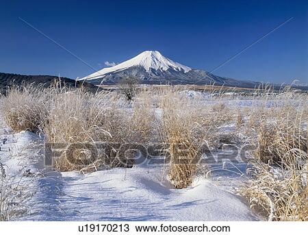 Stock Image - "Mt. Fuji And Snow, Yamanashi, Japan". Fotosearch