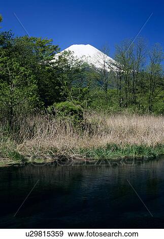 "Mt. Fuji And Water, Yamanashi, Japan" View Large Photo Image Stock Photo - "Mt. Fuji And Water, Yamanashi, Japan". Fotosearch