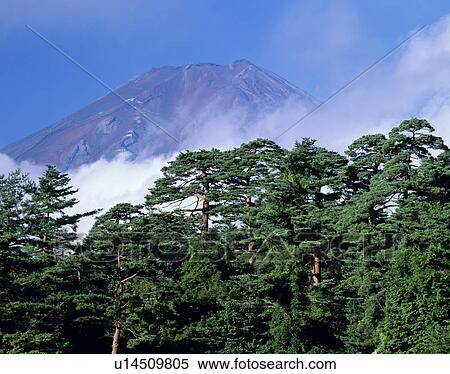 Stock Photography - "Mt. Fuji And Woods, Yamanashi, Japan". Fotosearch