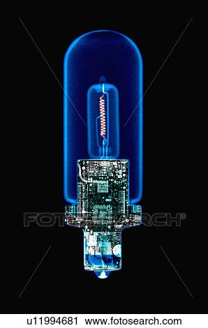 Stock Image - X-ray Image, Bulb. Fotosearch
