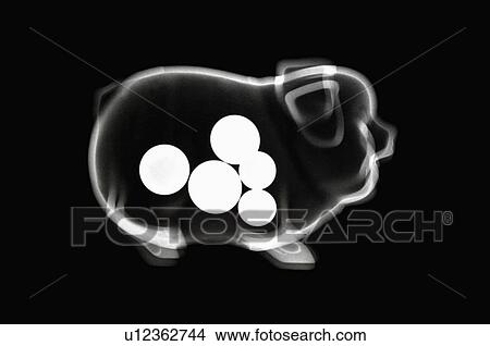 X-ray Image, Piggy Bank View Large Photo Image Picture - X-ray Image, Piggy Bank. Fotosearch