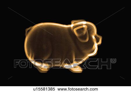 Stock Photography - X-ray Image, Piggy Bank. Fotosearch
