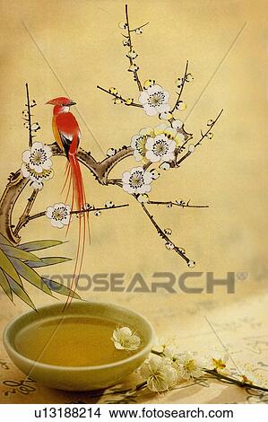 Illustration and tea cups with plum blossom, CG, Chinese Culture, Backgrounds View Large Photo Image Picture - Illustration and tea cups with plum blossom, CG, Chinese Culture, Backgrounds. Fotosearch