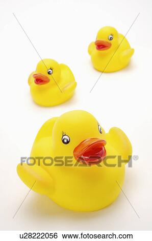 Rubber Duck View Large Photo Image Stock Photograph - Rubber Duck. Fotosearch