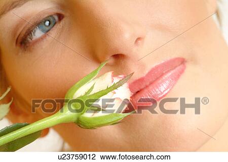 Stock Image - Close-up of female face with single white rose. Fotosearch