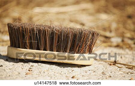 A grooming brush View Large Photo Image Stock Photo - A grooming brush. Fotosearch