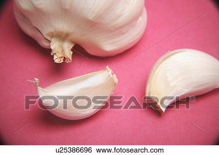 Stock Photograph - A head of garlic and cloves. Fotosearch