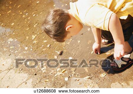A little boy shell seeking View Large Photo Image Stock Photo - A little boy shell seeking. Fotosearch