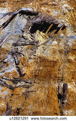 Badlands Southern Alberta Canada View Large Photo Image Stock Image - Badlands Southern Alberta Canada. Fotosearch