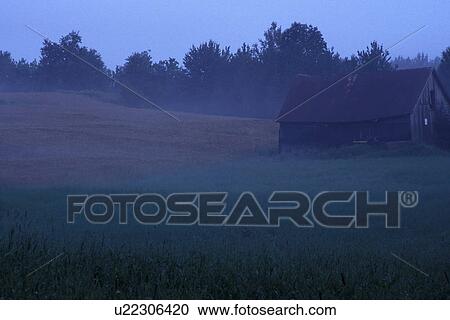 Barn in field with early morning mist View Large Photo Image Stock Image - Barn in field with early morning mist. Fotosearch