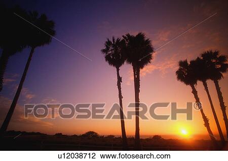 Stock Image - Beautiful exotic sunset. Fotosearch