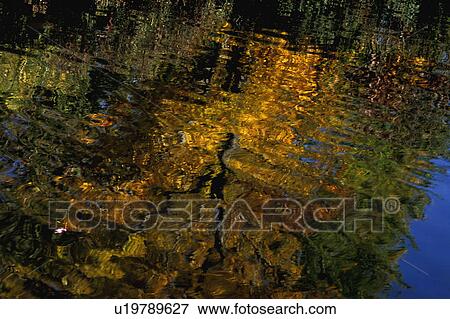 colored reflections on water View Large Photo Image Stock Photo - colored reflections on water. Fotosearch