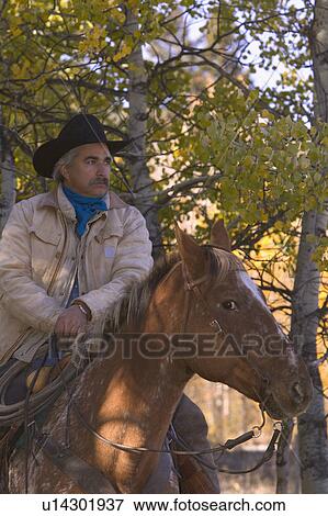 Cowboy in saddle View Large Photo Image Stock Photo - Cowboy in saddle. Fotosearch