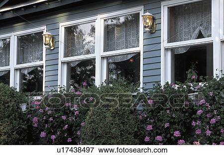 Stock Photo - Exterior of house and garden plants. Fotosearch