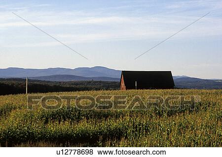 Farm building in open meadow View Large Photo Image Stock Photo - Farm building in open meadow. Fotosearch