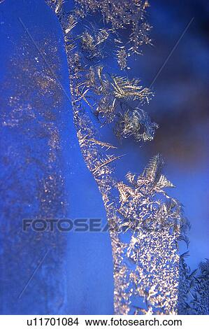 Picture - Frosty pattern. Fotosearch