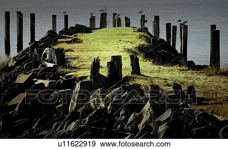 Stock Photo - Grass pier. Fotosearch