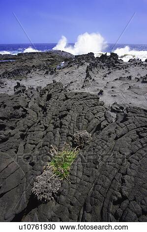 Lava near water View Large Photo Image Stock Image - Lava near water. Fotosearch