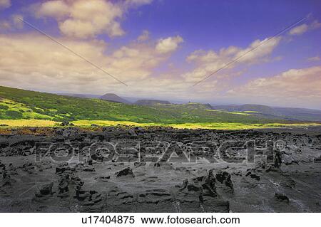 Stock Photography - Lava rock and vegetation. Fotosearch