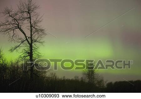 Northern lights View Large Photo Image Stock Image - Northern lights. Fotosearch