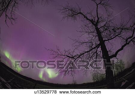 Northern lights View Large Photo Image Stock Photo - Northern lights. Fotosearch
