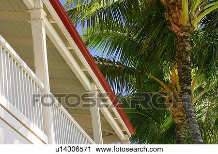 Stock Image - Palm trees beside building. Fotosearch