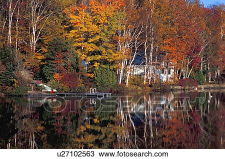 Reflection of autumn trees in lake View Large Photo Image Stock Image - Reflection of autumn trees in lake. Fotosearch