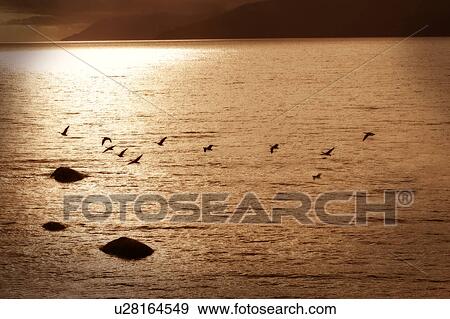 Reflection on water View Large Photo Image Stock Photo - Reflection on water. Fotosearch