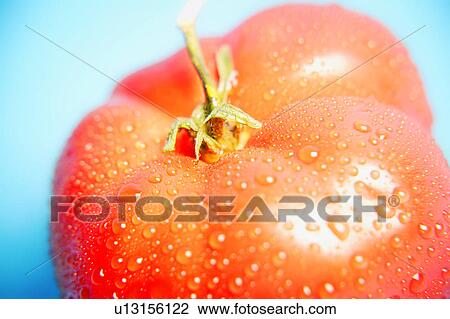 Ripe tomato View Large Photo Image Stock Image - Ripe tomato. Fotosearch