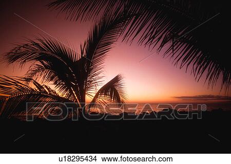 Romantic tropical sunset View Large Photo Image Picture - Romantic tropical sunset. Fotosearch