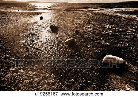 Stock Photo - Sepia shore and water. Fotosearch