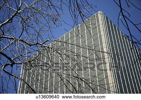 Skyscraper seen through bare branches View Large Photo Image Stock Image - Skyscraper seen through bare branches. Fotosearch