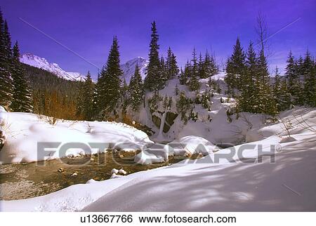 Snow covered forest and river View Large Photo Image Stock Photograph - Snow covered forest and river. Fotosearch